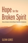 Hope for the Broken Spirit : Poetry and Scriptures to Heal the Wounds of Depression and Hopelessness - eBook