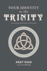 Your Identity in the Trinity : Discovering God's Grace in the Gospel - eBook