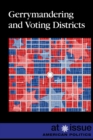 Gerrymandering and Voting Districts - eBook