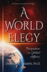 A World Elegy : Perspectives on Global Affairs - eBook