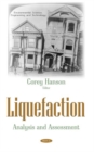 Liquefaction : Analysis and Assessment - Book
