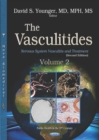 The Vasculitides. Volume 2: Nervous System Vasculitis and Treatment (Second Edition) - eBook