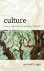Culture : How to Make It Work in a World of Hybrids - Book