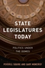 State Legislatures Today : Politics under the Domes - eBook