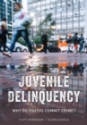 Juvenile Delinquency : Why Do Youths Commit Crime? - Book