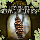 How Plants Survive Wildfires - eBook