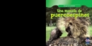 Una manada de puercoespines (A Prickle of Porcupines) - eBook