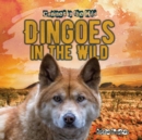 Dingoes in the Wild - eBook