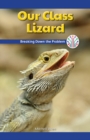 Our Class Lizard : Breaking Down the Problem - eBook