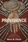 Providence : A Biblical, Historical, and Theological Account - Book