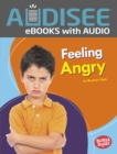 Feeling Angry - eBook