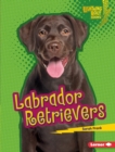 Labrador Retrievers - eBook