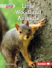 Little Woodland Animals - eBook