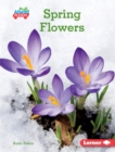 Spring Flowers - eBook