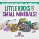 Little Rocks & Small Minerals! | Rocks And Mineral Books for Kids | Children's Rocks & Minerals Books - eBook