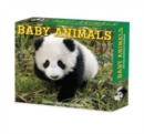 Baby Animals 2024 6.2 X 5.4 Box Calendar - Book