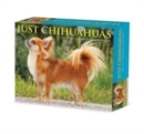 Chihuahuas 2024 6.2 X 5.4 Box Calendar - Book