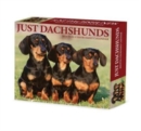 Dachshunds 2024 6.2 X 5.4 Box Calendar - Book