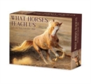 What Horses Teach Us 2024 6.2 X 5.4 Box Calendar - Book