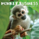 Monkey Business 2024 12 X 12 Wall Calendar - Book