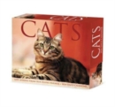 Cats 2024 6.2 X 5.4 Box Calendar - Book