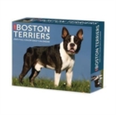 Boston Terriers 2025 6.2 X 5.4 Box Calendar - Book