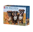 Boxers 2025 6.2 X 5.4 Box Calendar - Book