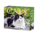 Cats 2025 6.2 X 5.4 Box Calendar - Book