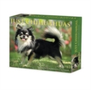 Chihuahuas 2025 6.2 X 5.4 Box Calendar - Book