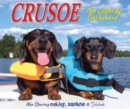 Crusoe the Celebrity Dachshund 2025 6.2 X 5.4 Box Calendar - Book