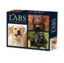 Labs 2025 6.2 X 5.4 Box Calendar - Book