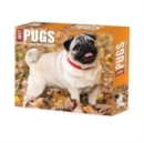 Pugs 2025 6.2 X 5.4 Box Calendar - Book