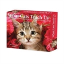 What Cats Teach Us 2025 6.2 X 5.4 Box Calendar - Book