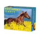 What Horses Teach Us 2025 6.2 X 5.4 Box Calendar - Book