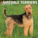 Just Airedale Terriers 2025 12 X 12 Wall Calendar - Book