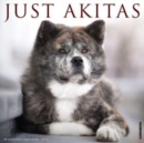 Just Akitas 2025 12 X 12 Wall Calendar - Book