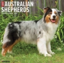 Just Australian Shepherds 2025 12 X 12 Wall Calendar - Book