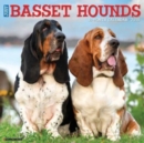 Just Basset Hounds 2025 12 X 12 Wall Calendar - Book