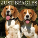 Just Beagles 2025 12 X 12 Wall Calendar - Book