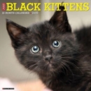 Just Black Kittens 2025 12 X 12 Wall Calendar - Book