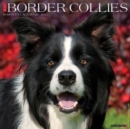 Just Border Collies 2025 12 X 12 Wall Calendar - Book