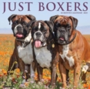 Just Boxers 2025 12 X 12 Wall Calendar - Book