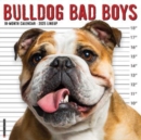 Bulldog Bad Boys 2025 12 X 12 Wall Calendar - Book