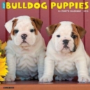 Just Bulldog Puppies 2025 12 X 12 Wall Calendar - Book