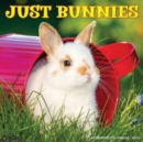 Just Bunnies 2025 12 X 12 Wall Calendar - Book