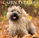 Just Cairn Terriers 2025 12 X 12 Wall Calendar - Book