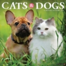 Cats & Dogs 2025 12 X 12 Wall Calendar - Book