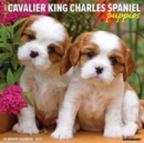 Just Cavalier King Charles Spaniel Puppies 2025 12 X 12 Wall Calendar - Book