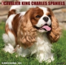 Just Cavalier King Charles Spaniels 2025 12 X 12 Wall Calendar - Book