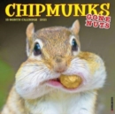 Chipmunks (Gone Nuts!) 2025 12 X 12 Wall Calendar - Book